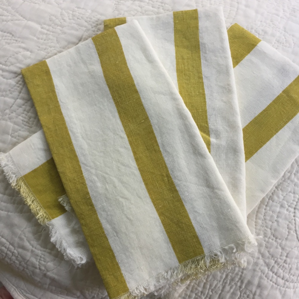 Anthropolgoie Set of 4 Stripe Napkins